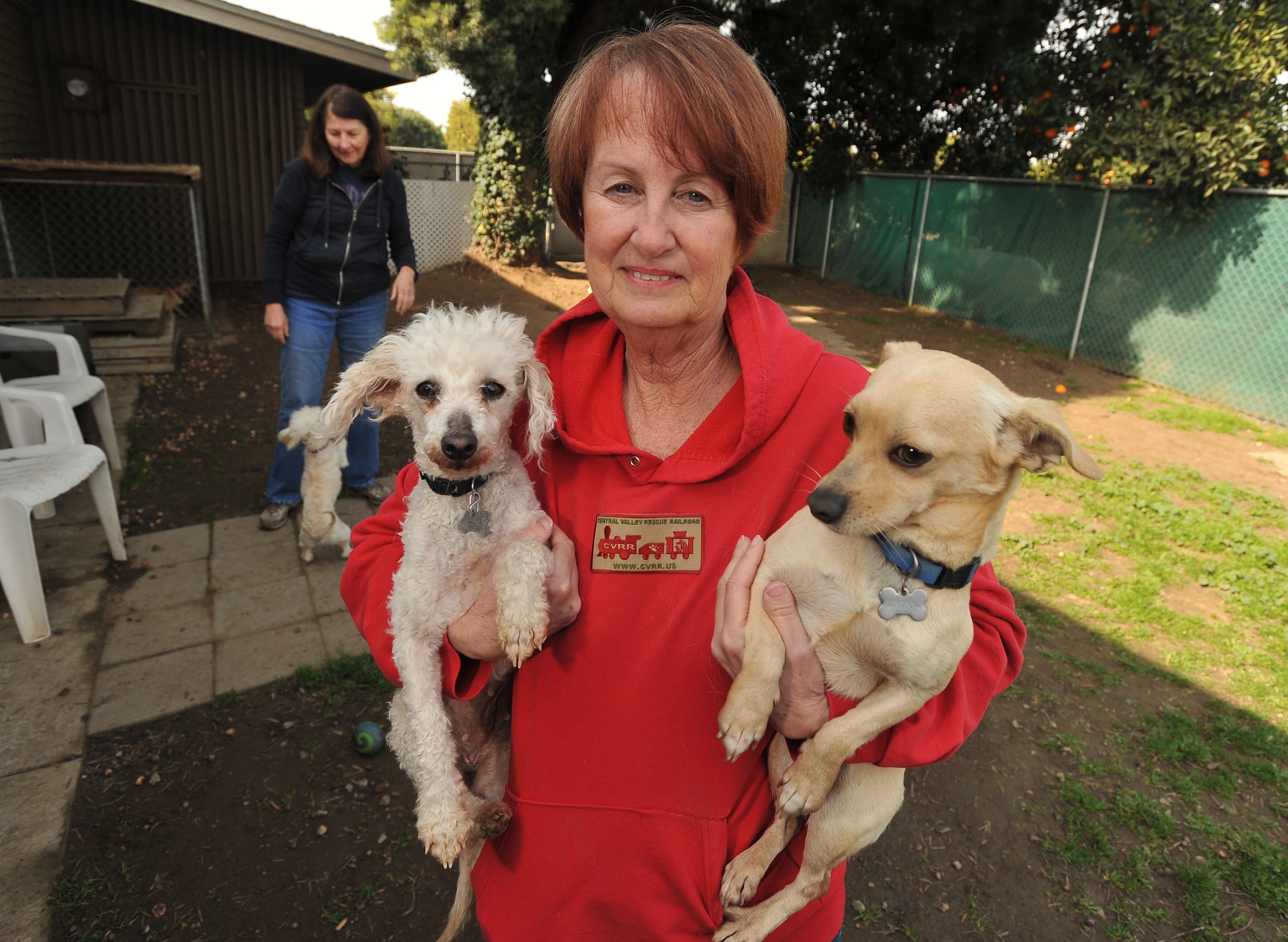 central valley animal shelter